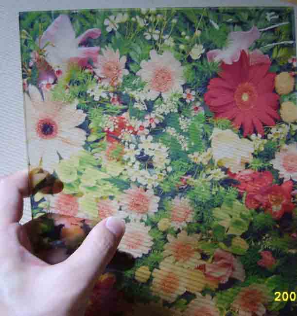 (yng)ӡˢ |ݸI(y)a(chn)ӡˢ 
P(gun)I: