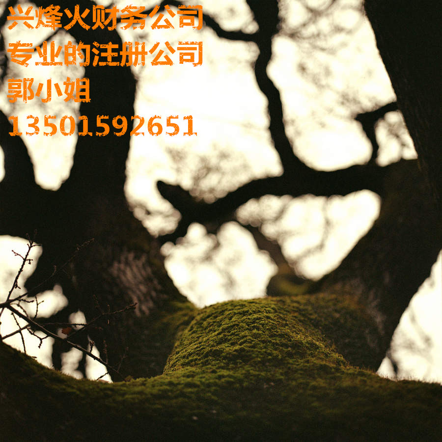 ڱվdؔ(ci)(w)˾I(y)עԹ˾ӛ~Ոһ{ 
P(gun)I: