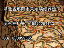 ҧôkˎÄ(dng)B(yng)ֳ޹˾ 
P(gun)I: