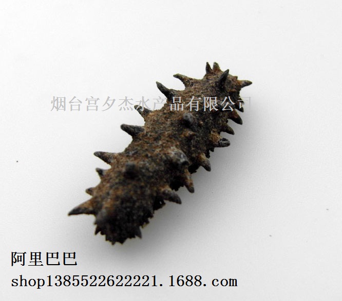 (yu)|Mں Mںu Mںl(f)xmϦˮa(chn)Ʒ˾ 
PI: