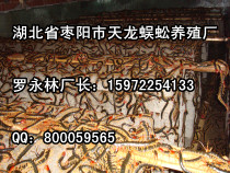 B(yng)ֳ-(yng)B(yng)ֳS 15972254133 
P(gun)I: