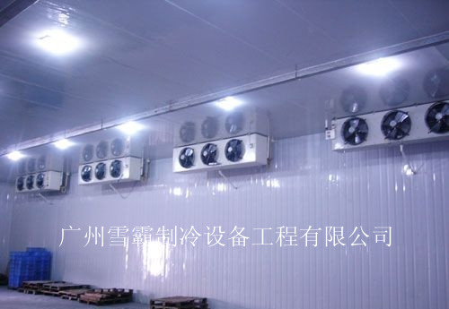όˎƷ콨]gõнѩ 
PI:
