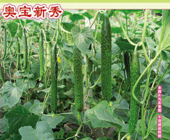 Sa(chn)(yu)|SϷNӡW 
PI: