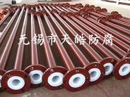 ܵķܵPTFEܵF4 
P(gun)I: