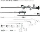 _(ti)ӌ(zhun)I(y)(yng)ƣmǻR 
P(gun)I: