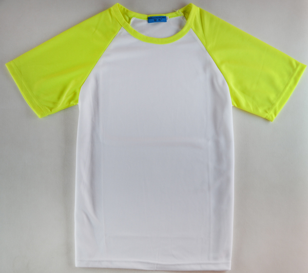 ݏSֱNAIIհTLRl(wi) ɁD 
PI: