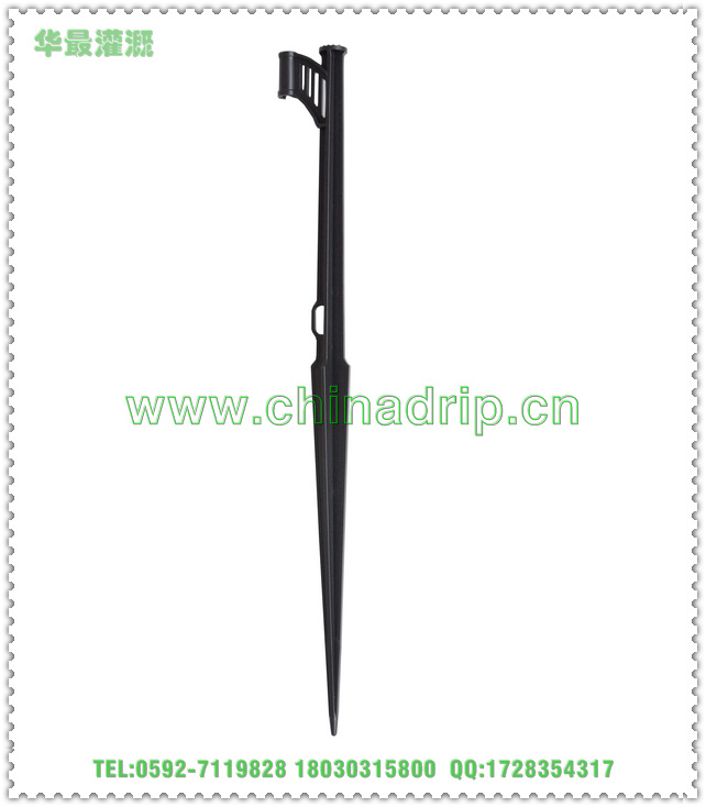 ۵ز塢ϵز֧@ֹȹ 
P(gun)I: