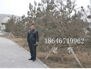 ˳A6ɼԒ  18646719962 
P(gun)I: