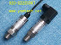 VҺ׃YP4031-25MPa-B|-G-3 
P(gun)I: