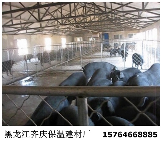 iὨOiᰲbн 
PI: