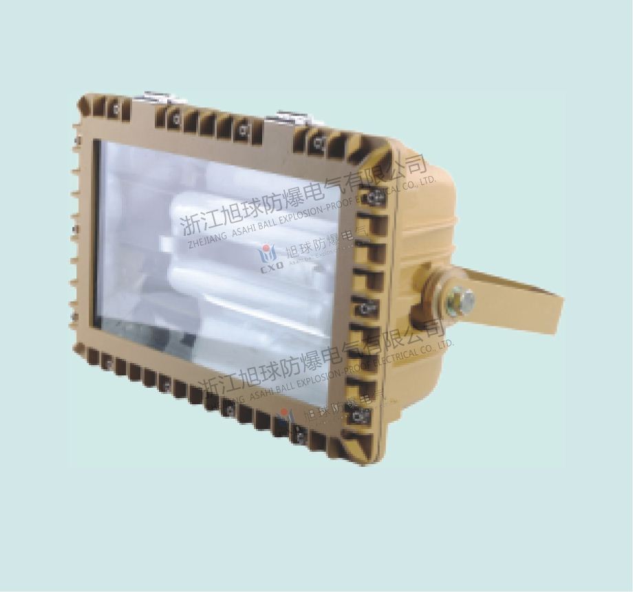 I(mi)õXQD3109ϵз 
P(gun)I:
