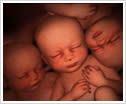 ԭb    0516--85823656 
PI: