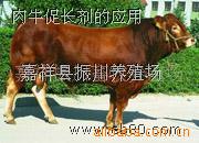 ľٝţ ܏(qing) 
P(gun)I: