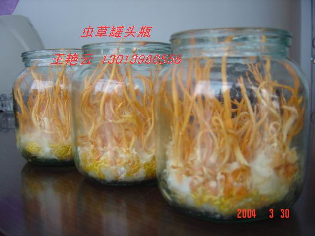 Sҹ(yng)480ml xݲƿ ʯB(yng)ƿ Mƿ Nƿ 
P(gun)I: