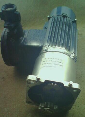 پT늙C_TCMZ 
P(gun)I: