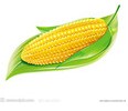 Yꖼُ(gu)(yu)ݵُ(gu)ĴF(xin)ُ(gu)(yu)|(zh)С 
P(gun)I: