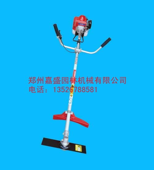 (yng)-ձCu ձCl(f)r 
P(gun)I: