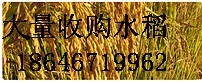 ُr(nng)ˮ  186 4671 9962 
P(gun)I: