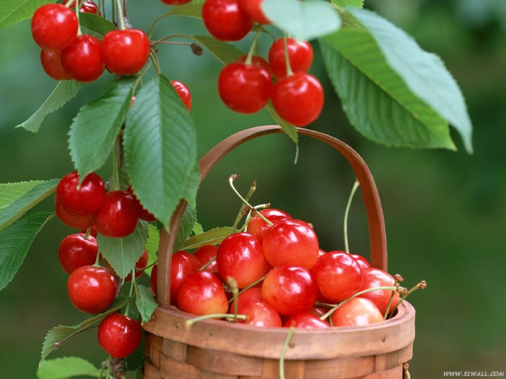 ڹߟ_(ti)Ҵչ(yng)õx _(ti)Ҵļ 
P(gun)I: