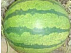 m݃(yu)ݵϷNl(f)Su 
P(gun)I: