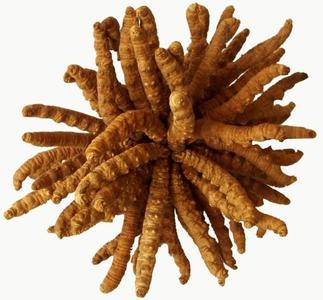 13684958969ڶx(chng)Ĳݻչ˾|ڻնx(chng)Ĳ 
P(gun)I: