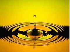 h(yu)ݵhX݆͡] 
P(gun)I: