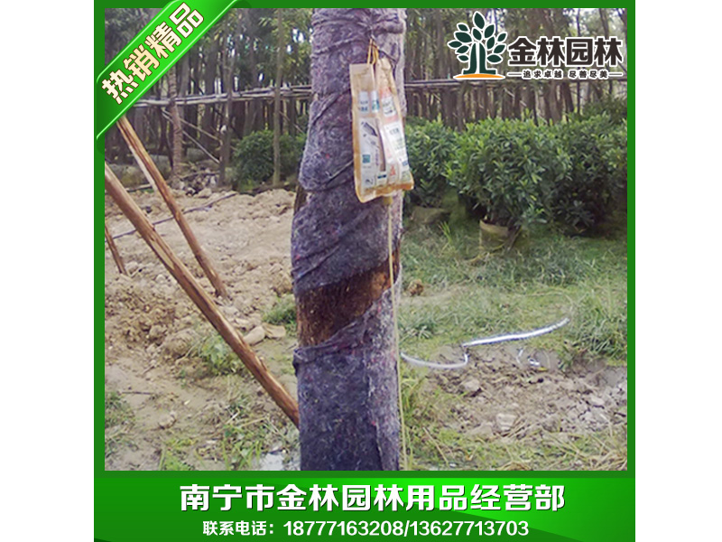 F۰䲼|ڱõİo] 
P(gun)I: