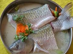 ԴƼҹݵđcđc 
P(gun)I: