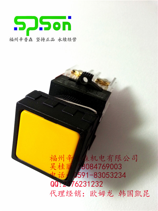 I(y)K25-22Y10ڱõĄPo_P(gun)K25-22Y10N 
P(gun)I: