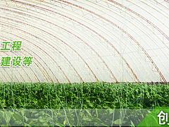 H߲˴ｨO(chung)͵߲˴ｨO] 
PI: