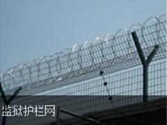 zW(wng)Ʒ(yng)(yu)|(zh)С^(q)o(h)ھW(wng)䓲  Ʒ|(zh)õС^(q)o(h)ھW(wng) 
P(gun)I: