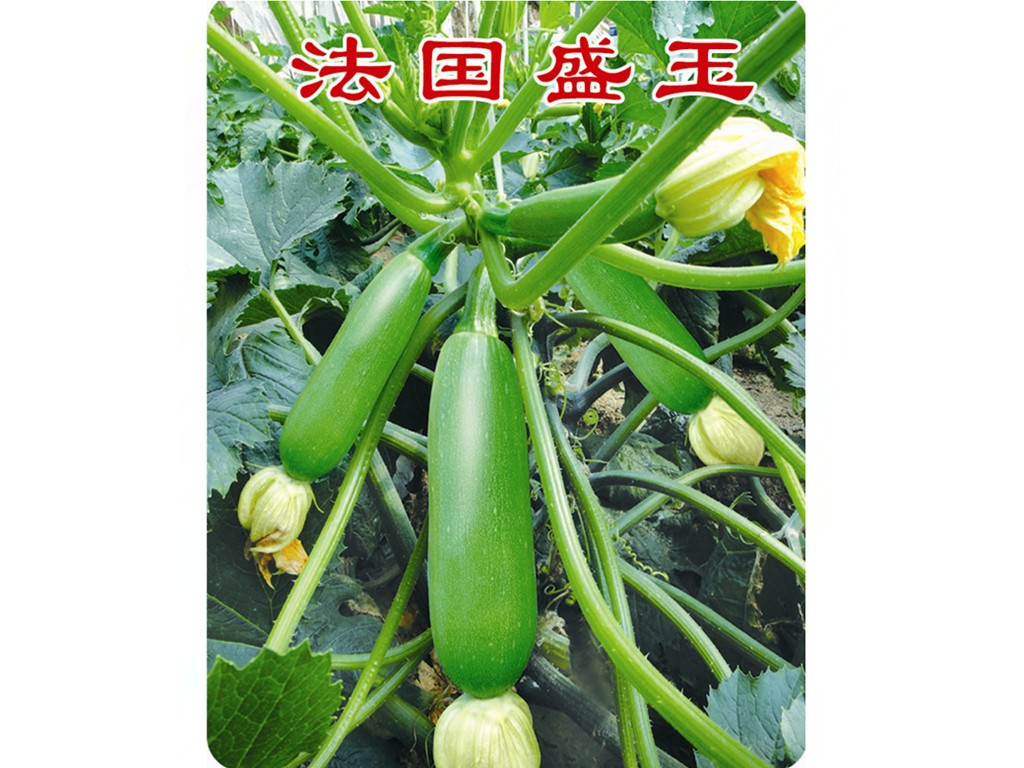 ϗlֱɫG紺NֲJNӡ۹fʢNI(y) 
PI: