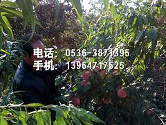 LOOK\ӳ˪t硿Nֲ_x 
P(gun)I: