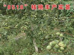 (yu)|(zh)8518a(chn)ں8518 
P(gun)I: