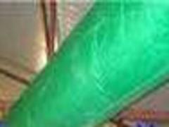 {LtLB(yng)ֳˮB(yng)ֳϾr}ꖹ 
PI: