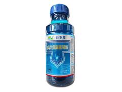 ٶrλ-ٶƷNٶr(nng)˼_(d) 
P(gun)I: