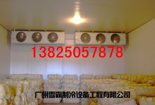 VЌI(y)죺ꖽƵ찲b 
PI: