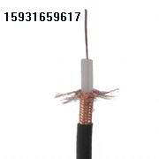 ͬS|SYV-75-5 
P(gun)I: