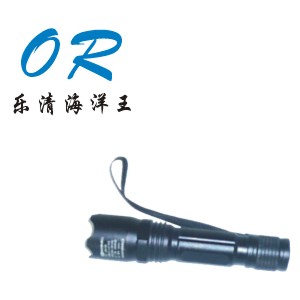 JW7300B ΢ͷͲ (l)庣 
P(gun)I: