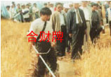 СոCؔƣ 
P(gun)I:
