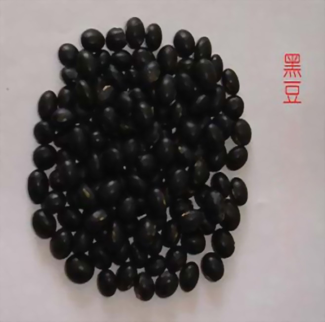 Lڹ(yu)|ڶ 
PI: