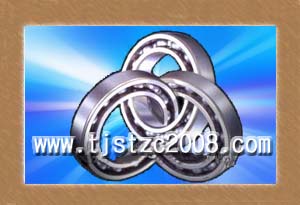 SKF6314ZZS=N۲Ԓ022-58692068 
P(gun)I:2010-03-19