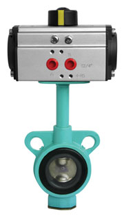 myӵyP䓵y 
P(gun)I: