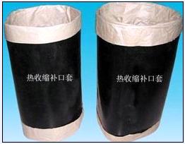 ݗ佻(lin)ϩտsa/ݗ佻(lin)ϩտs/CEP-1/ӽYտsa 
PI:
