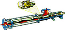 ݗUãpݗUݗUãCͱжͱ 
P(gun)I: