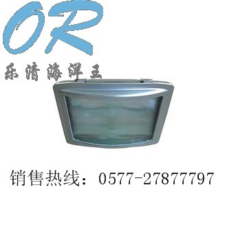 ·NSE9720NSE9720 
PI: