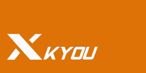 yT_ϺXkyouyTSحņyT 
P(gun)I: