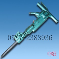 B47L 
P(gun)I:2010-01-27