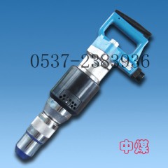 SK-10L 
P(gun)I:2010-01-27