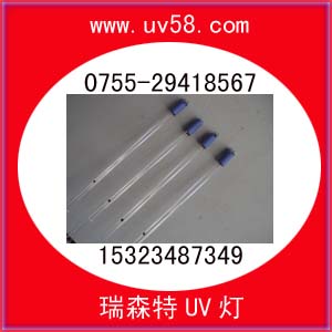 ͉R15323487349 
P(gun)I: